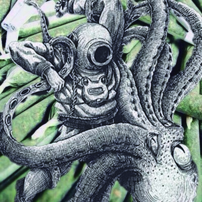Принт Octopus 42x60 см