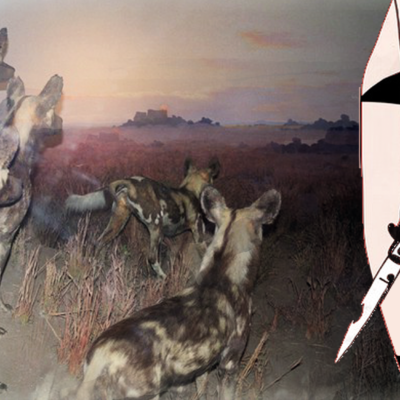Spirit of adventure 70x45 см